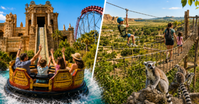 Escapadas con niños a parques diferentes en España