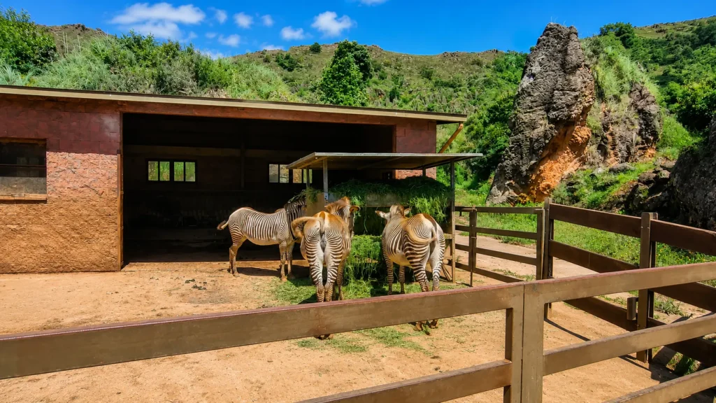Parque de Cabárceno