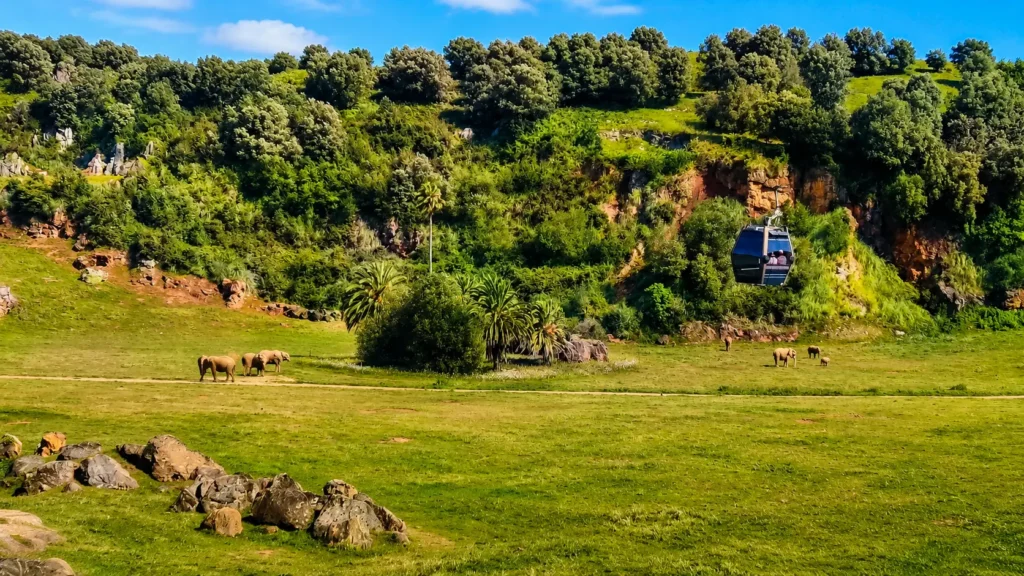 Ruta por Cabárceno